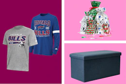 hsn-free-shipping-day