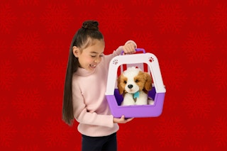 child holding a little live pets beagle puppy in a carrier in front of a red background