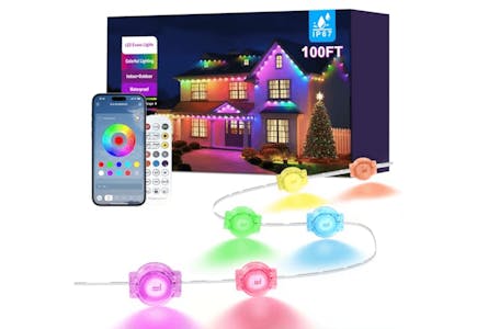 Permanent Outdoor Lights