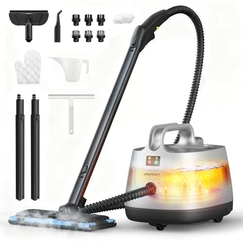 Steam Cleaner