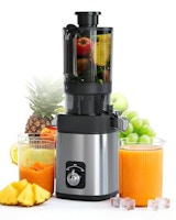 Cold-Press Juicer