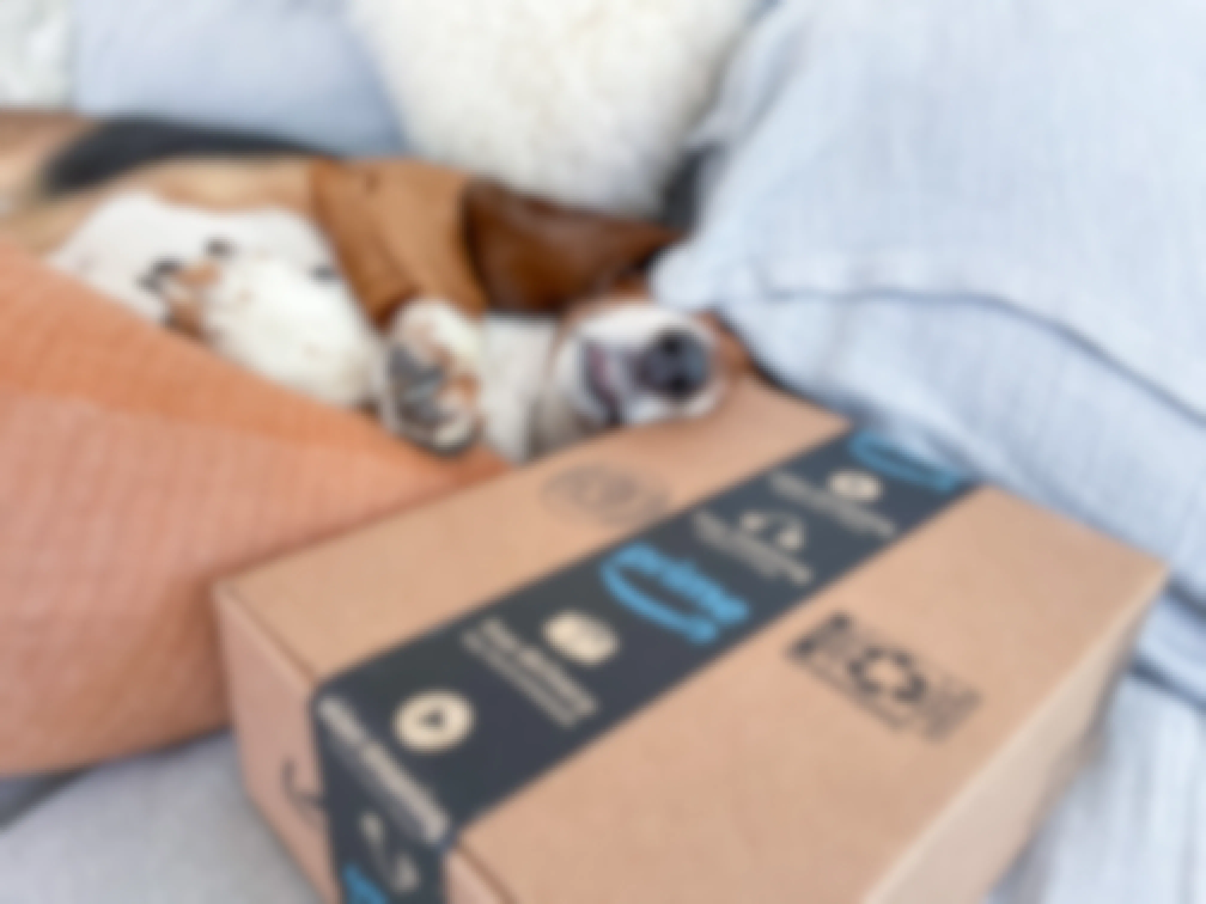 The 20 Best Pet Coupons We Found Hidden on Amazon Today