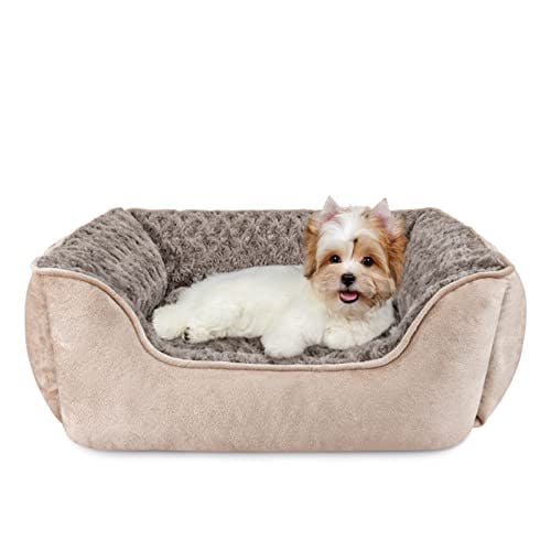Rectangle Dog Bed