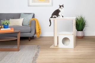 cat playing on a cat tower