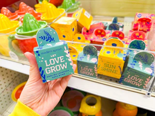 target-dollar-spot-april-2026-11