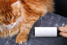 linter roller being used on couch