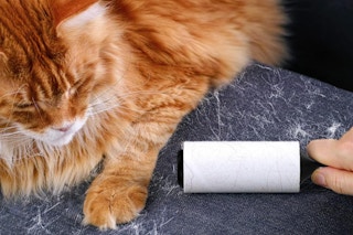 linter roller being used on couch