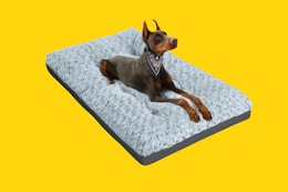 Extra Large Washable Dog Bed, Now $29 With Amazon Coupon card image