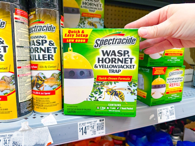 Walmart-Spectracide-insect-trap-2