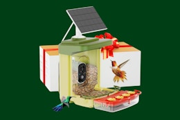 Smart Hummingbird Feeder, Only $54.50 on Amazon card image