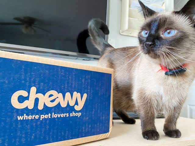 Save on Medicine, Pet Treats, and More + Earn $20 Chewy eGift Card card image