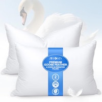 Queen Feather Pillows