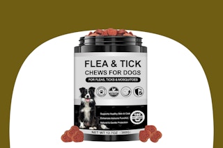 amazon dog flea B0FM779YJY