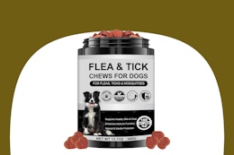 amazon dog flea B0FM779YJY