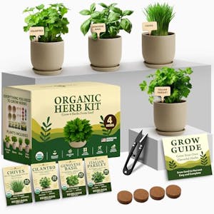 Indoor Organic Herb Garden Kit