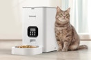 A rectangular white automatic pet feeder with a full dish of food and a digital display sits next to a cat.