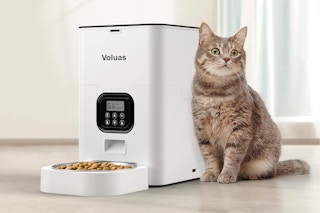 A rectangular white automatic pet feeder with a full dish of food and a digital display sits next to a cat.