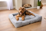 Heart & Herd dog bed