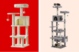cat trees on a grid