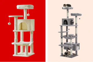 cat trees on a grid