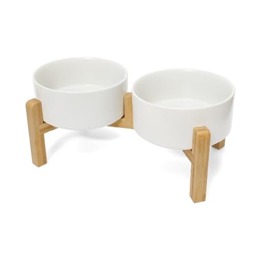 Elevated Dog Bowl Set