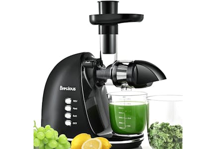 Slow Masticating Juicer