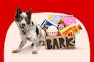 BarkBox Double Feature Image