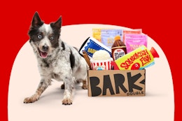 Get Double BarkBox Goodies With First Order — Just $27 a Month for 6 Months card image