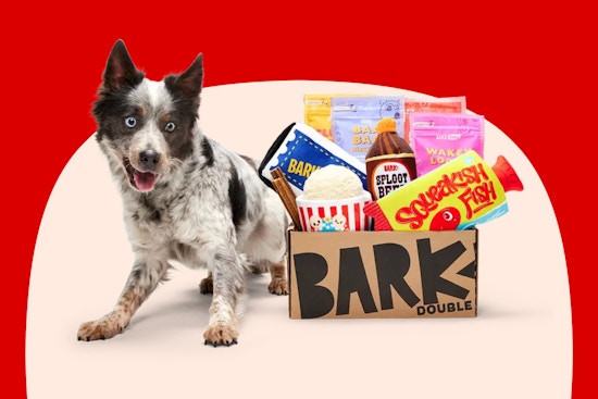 BarkBox Double Feature Image