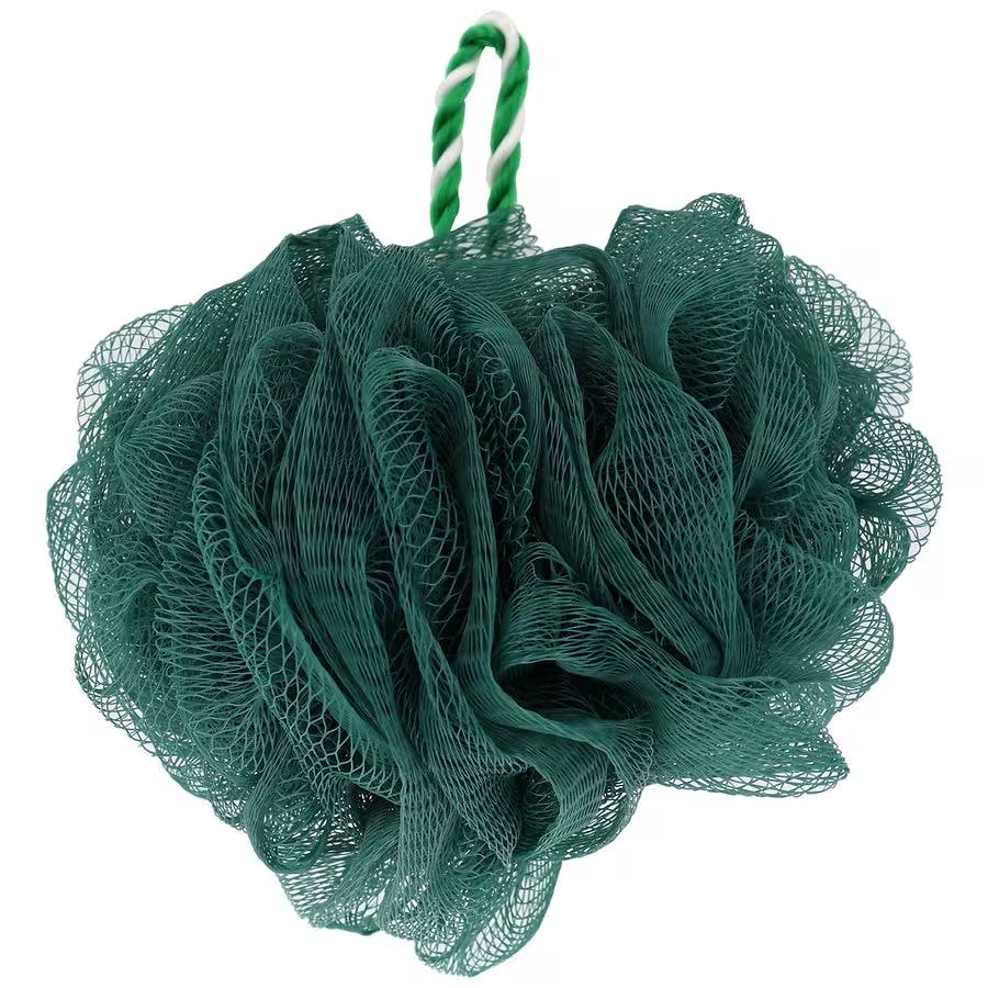 Walgreens Mesh Sponge