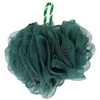 Walgreens Mesh Sponge