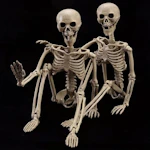 Halloween Skeletons 2-Pack