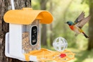 amazon smart bird feeder B0FDWJK9HX