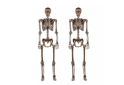 Member's Mark Talking Skeletons