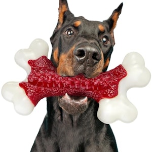 Dog Bone Toy