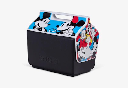 Igloo Cooler