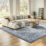 Washable Area Rug