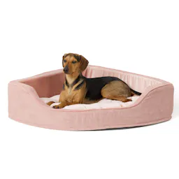 Corner Dog Bed