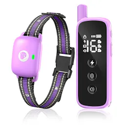 Dog Training Collar