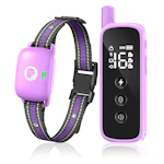 Dog Training Collar