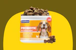 Dog Probiotics