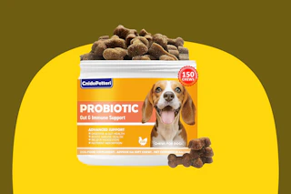 Dog Probiotics