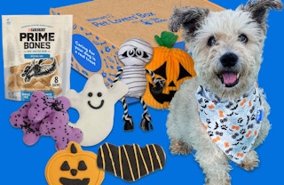 walmart pet lovers box 2022 01 1664464912 1664464912