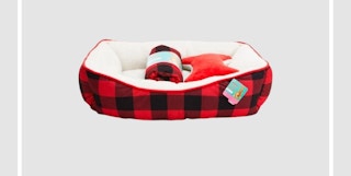 dog bed