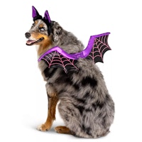 Thrills & Chills Bat Pet Costume