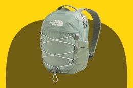 THE NORTH FACE Borealis Mini Backpack
