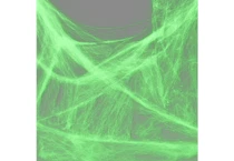 Hyde and EEK! Boutique Spiderweb