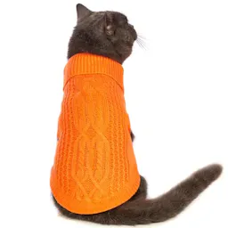 Cat Sweater