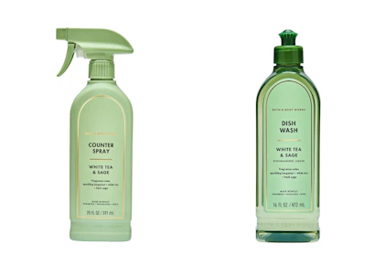 Counter Spray or Dish Wash