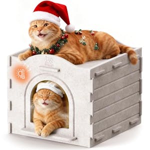 Indoor Cat House